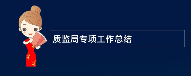 质监局专项工作总结