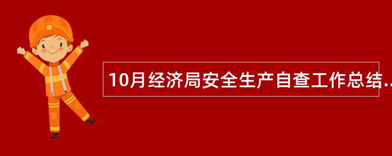 10月经济局安全生产自查工作总结汇报材料