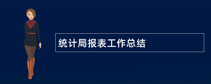 统计局报表工作总结