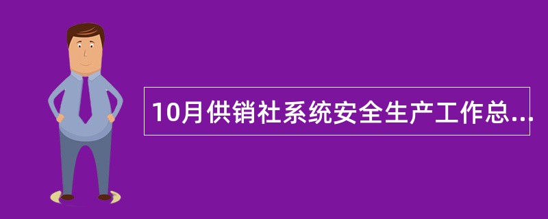 10月供销社系统安全生产工作总结