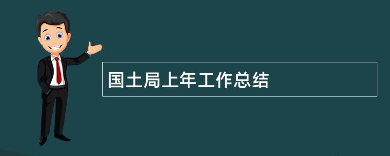 国土局上年工作总结