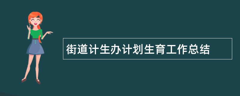 街道计生办计划生育工作总结