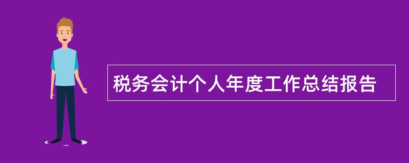 税务会计个人年度工作总结报告