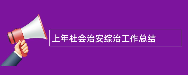 上年社会治安综治工作总结