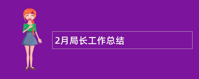 2月局长工作总结