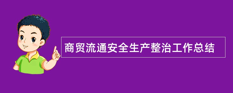 商贸流通安全生产整治工作总结