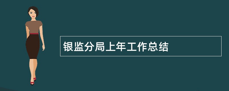 银监分局上年工作总结