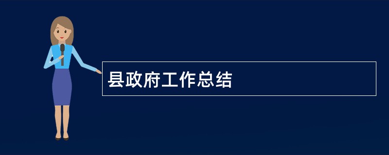 县政府工作总结