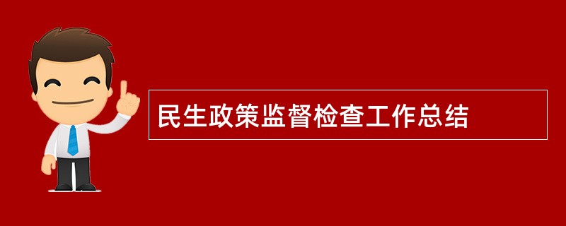 民生政策监督检查工作总结