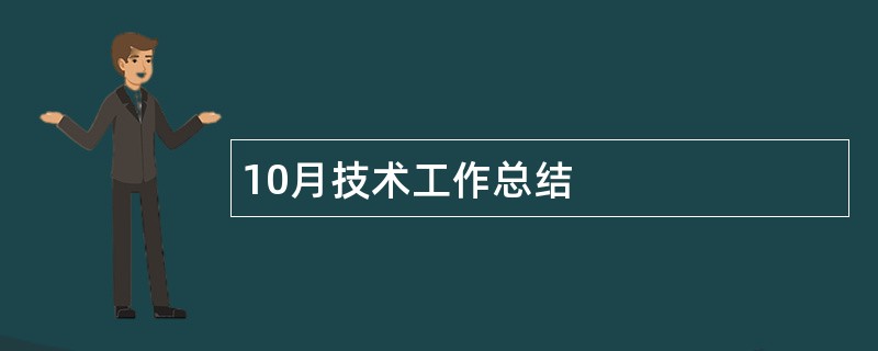 10月技术工作总结