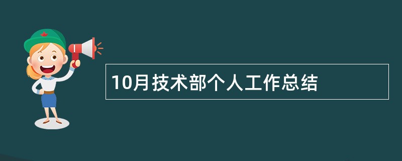 10月技术部个人工作总结