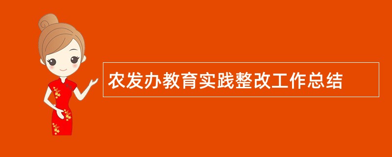 农发办教育实践整改工作总结