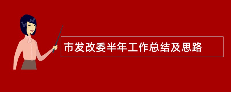 市发改委半年工作总结及思路