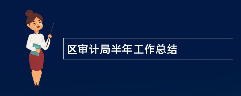 区审计局半年工作总结