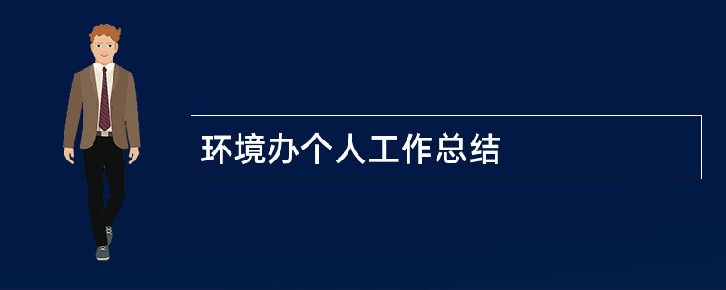 环境办个人工作总结