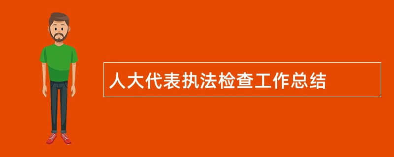 人大代表执法检查工作总结