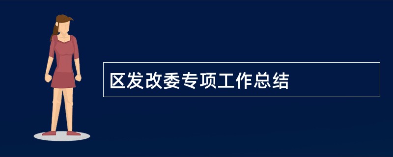 区发改委专项工作总结