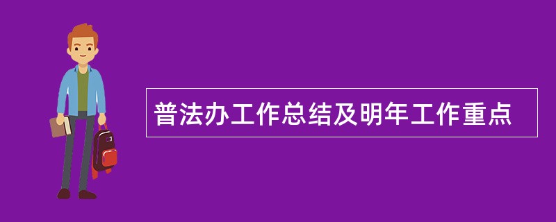 普法办工作总结及明年工作重点