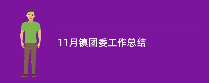 11月镇团委工作总结