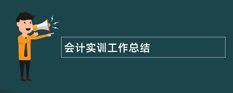 会计实训工作总结