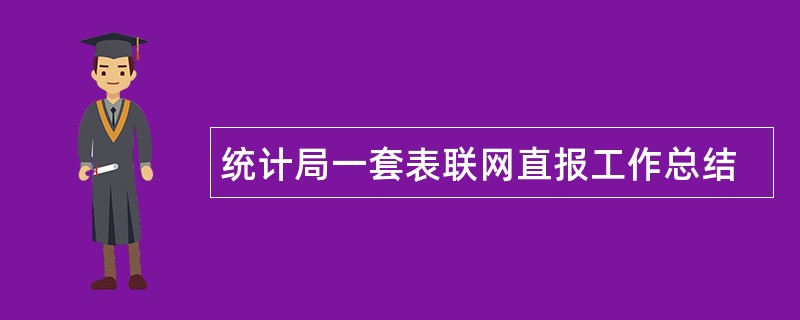 统计局一套表联网直报工作总结