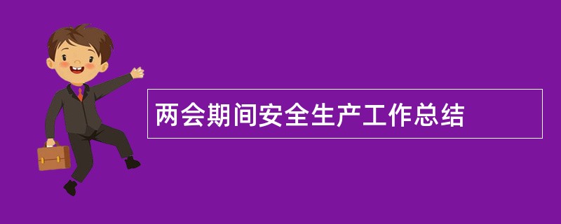 两会期间安全生产工作总结