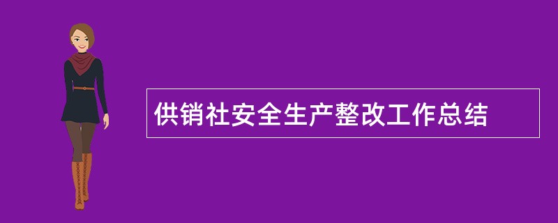 供销社安全生产整改工作总结