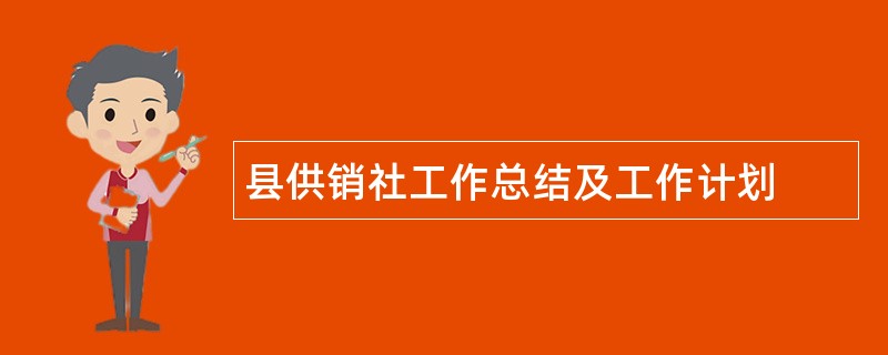 县供销社工作总结及工作计划