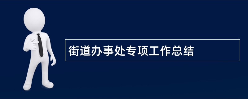 街道办事处专项工作总结