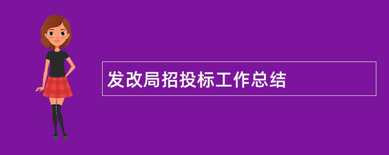 发改局招投标工作总结