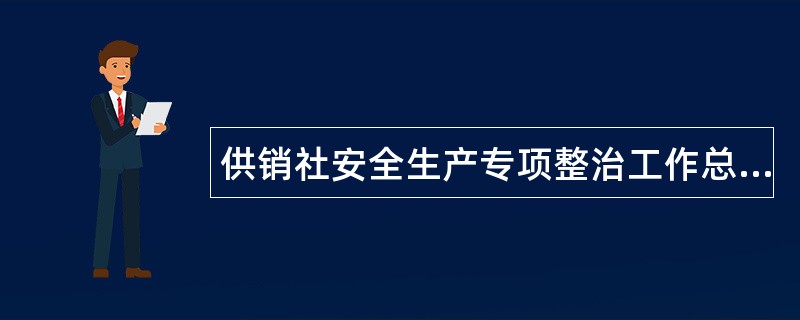 供销社安全生产专项整治工作总结