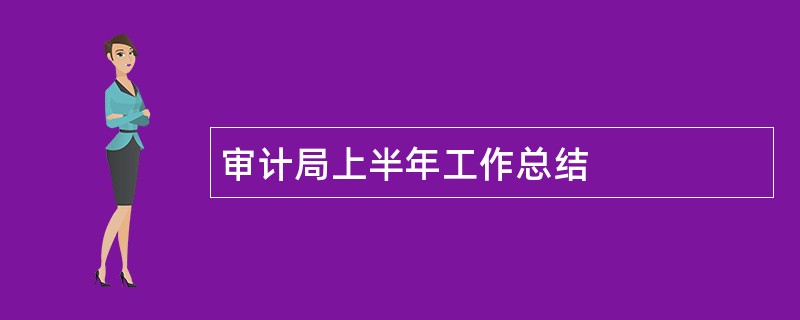 审计局上半年工作总结