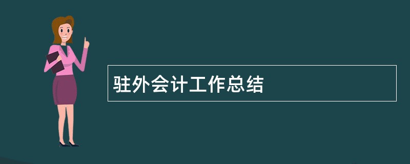 驻外会计工作总结