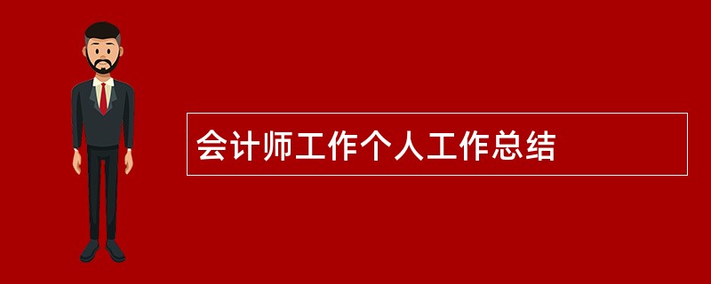 会计师工作个人工作总结