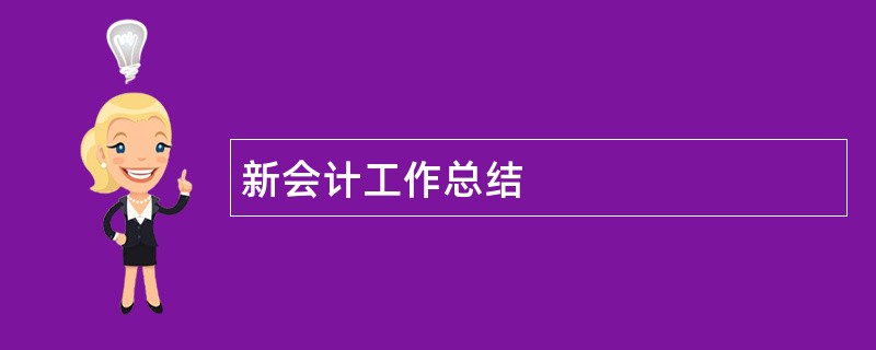 新会计工作总结