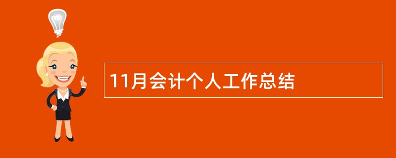 11月会计个人工作总结