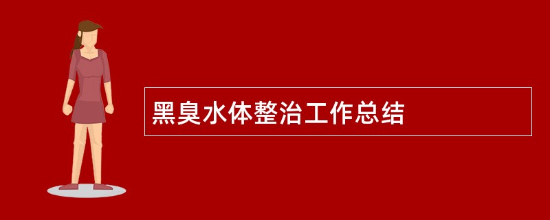 黑臭水体整治工作总结