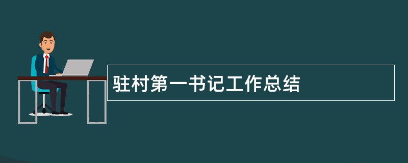 驻村第一书记工作总结