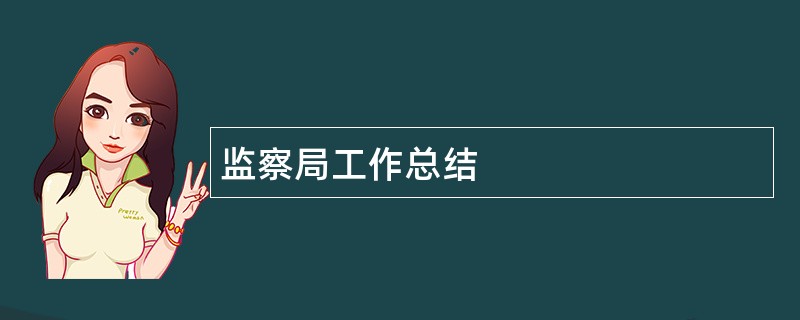 监察局工作总结