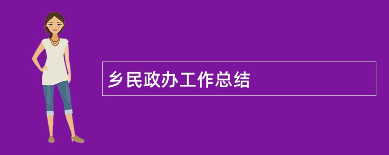 乡民政办工作总结