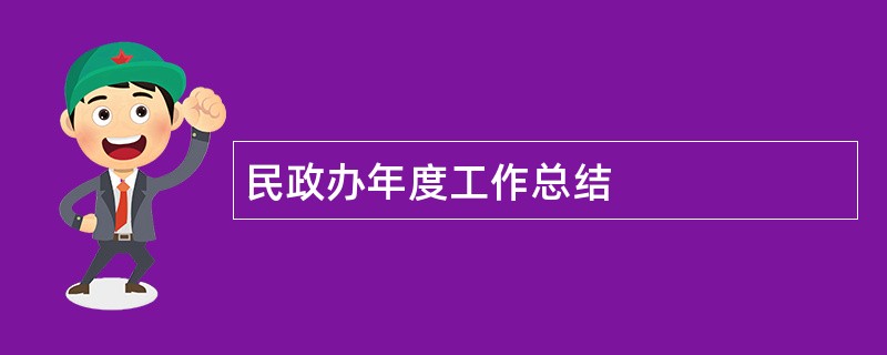 民政办年度工作总结