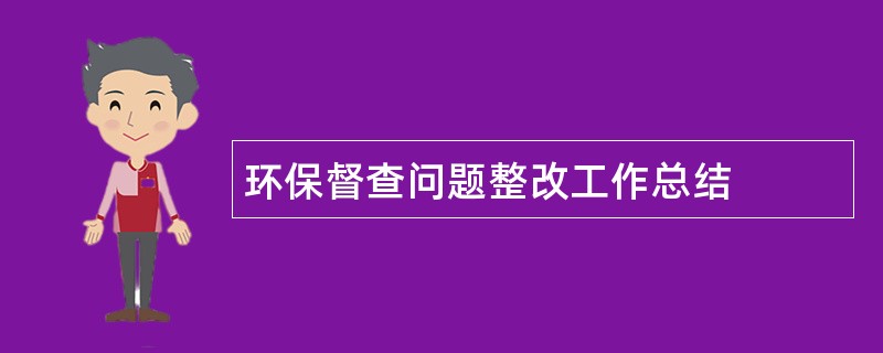 环保督查问题整改工作总结