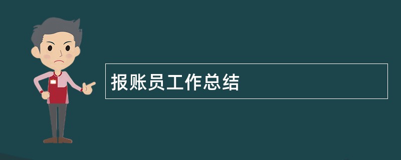 报账员工作总结