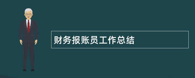 财务报账员工作总结