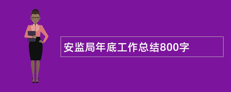 安监局年底工作总结800字