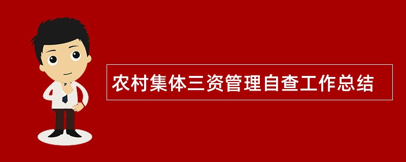 农村集体三资管理自查工作总结