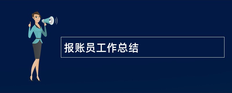 报账员工作总结