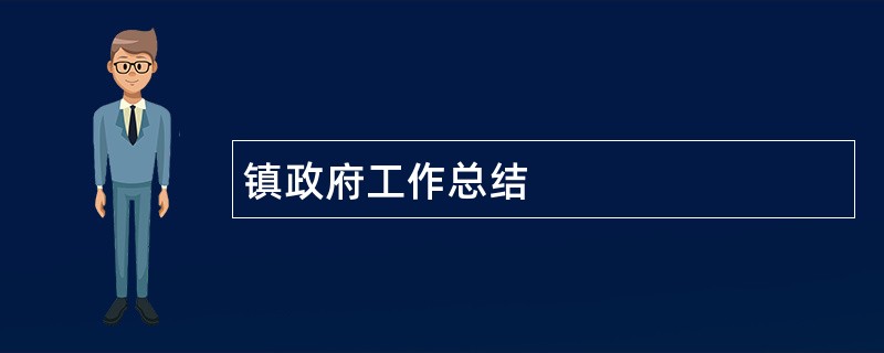 镇政府工作总结