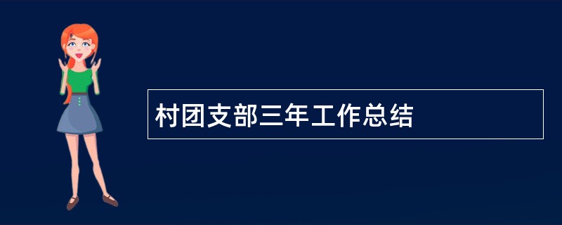 村团支部三年工作总结