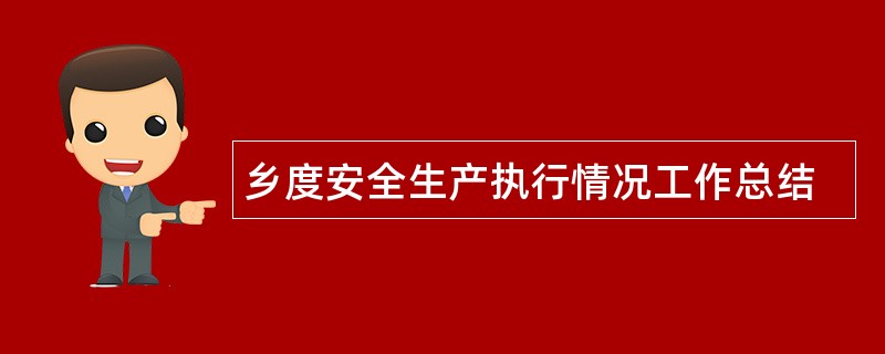 乡度安全生产执行情况工作总结